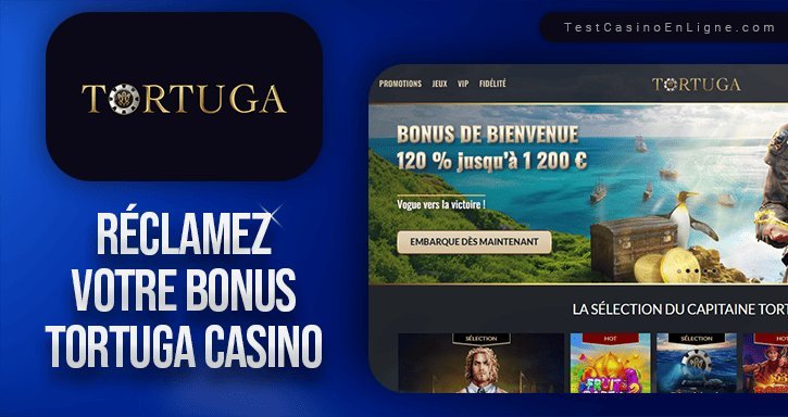 L’Évolution de la Gaming Culture en Ligne dans les Foyers Français